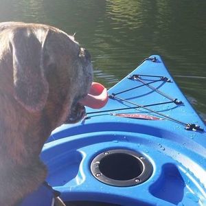 Meet your Posher, Becky